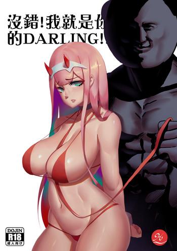 Groping 沒錯!我就是 你的DARLING!!- Darling in the franxx hentai Reluctant