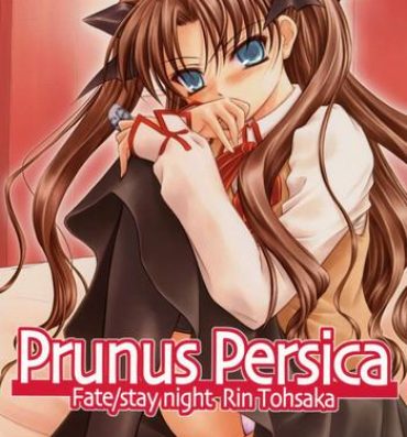 Spanking Prunus Persica- Fate stay night hentai Freaky