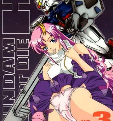 Freak Gundam-H 3- Gundam seed hentai Behind